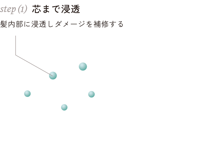 step(1) 芯まで浸透 髪内部に浸透しダメージを補修する